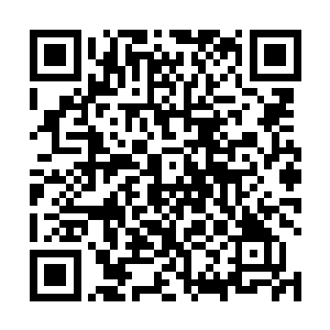 司马明光和刁柴没有机会再拿出已经做得差不多的晚餐二维码生成