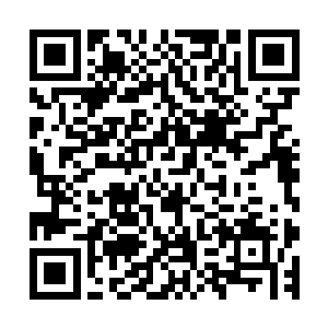司马明光和刁柴的储物手镯内因为和张潇晗的赌石而空空如也二维码生成
