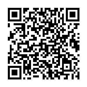 司马明光和刁柴还是第一次亲眼看到元婴被搜魂的过程二维码生成