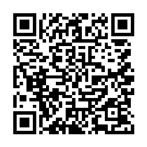 司马明光和刁柴都不会也不肯相信这里没有危险二维码生成