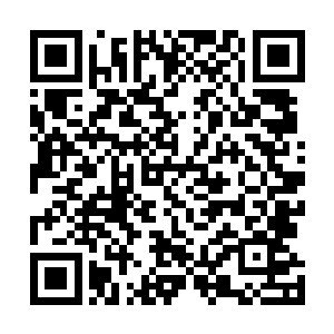 司马朵朵就在心里直接把它定义为了新专辑的首发主打歌二维码生成