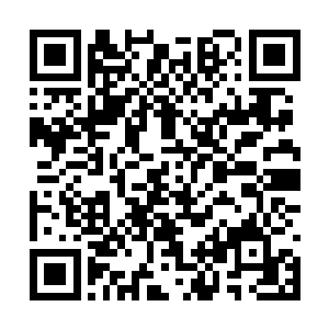 叽里呱啦讲起了和苗毅在一起的日子是如何的友好二维码生成