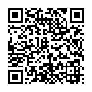 吃下这颗果子就可以把江老爷子的本事复制到自己身上二维码生成