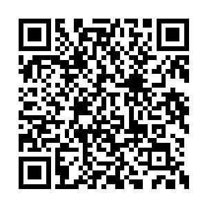 吃了两块想三块……我在上面画了好多漂亮的画二维码生成