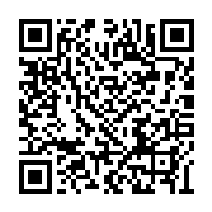 吃了善恶树上的果实你们就如同神祗般分辨善恶二维码生成