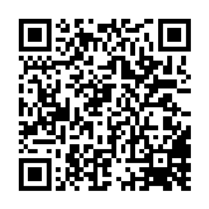 吃了饭回去就把照片发到了武馆的网站上和他的v博上二维码生成