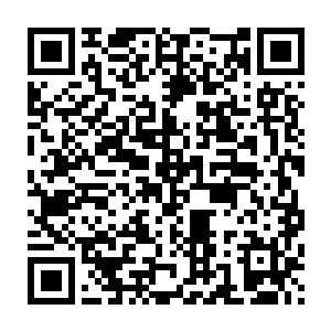 吃嘛吃嘛好歹吃一口嘛~踏雪无痕墨角腾云兽趁着小幼崽说话的时候二维码生成