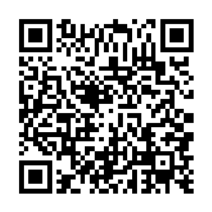 吃完了东西的一家人很快的就开始清理起自己的窝旁来二维码生成