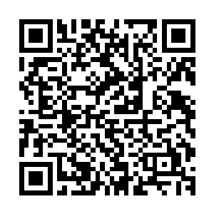 吃完光辉之果的张铁在稍微活动了一下有些发麻和僵硬的身体二维码生成