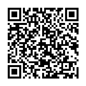 吃得油光满面的玄心晃晃悠悠地从自身的禅房走了出来二维码生成