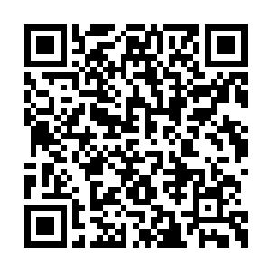 吃过一次亏的它明显知道了自己的弱点已被发现二维码生成