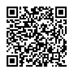 各个修炼小筑内的弟子一边不屑地贬低着许紫烟二维码生成