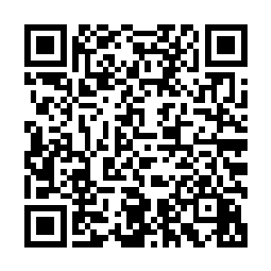 各个宗门都会派出门下的金丹期弟子来专门的场地精进行锻炼二维码生成