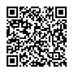 各个家族里面都派遣了一名合体期强者守在家中二维码生成