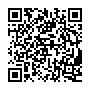 各个豪门大族现在都在如火如荼的筹建自己家族的空骑兵部队二维码生成
