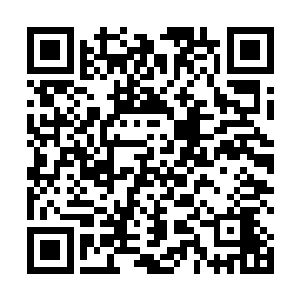 各个都不要命似的往江少游和狼王之间的路上堵了过去二维码生成