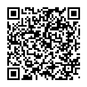 各个门派的洞天所在地和洞天之中的资源宝物都是各个门派的最高机密二维码生成