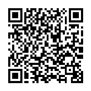 各位亲们可以直接搜索邪少的笔名全称浪荡邪少或者搜账号二维码生成