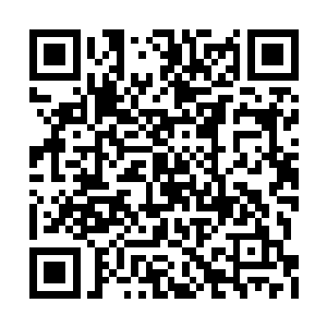 各位前辈手里原本的玉符在进入到仙农洞府之后二维码生成