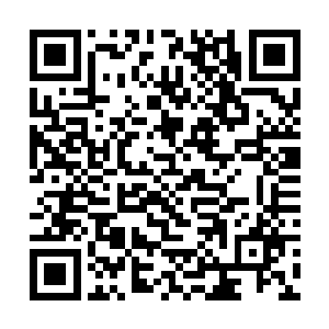 各位姐姐都说等你回去了之后要好好的收拾你一下呢二维码生成