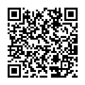 各位是刚从外界回来准备参加三日后的朝圣之行吧二维码生成