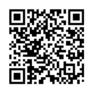 各位给二锦送花送钻送打赏送评价费的妹子二维码生成