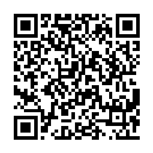 各国不允许大量私兵尤其是妖蛮私兵住在城市中二维码生成