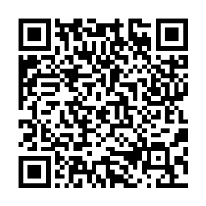 各国人员只见浮空的玲珑宝塔上下七层全部开始转动了起来二维码生成