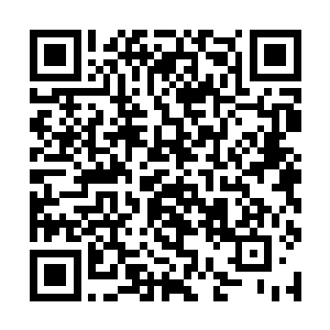 各国想强行让我去帮他们制造诺亚方舟也是不可能的二维码生成