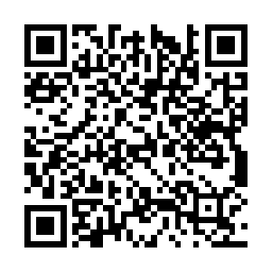 各国领事原以为一旦南方的各省督抚北上勤王的话二维码生成