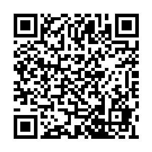 各地便爆发了反对蒙丹将军出任临时总统的游行二维码生成