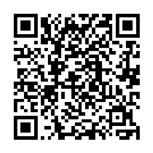 各地卫所兵马都不太好下官建议大人在调兵遣将的同时二维码生成