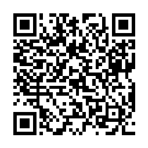 各地县府都从丰收粮铺购置了一批种子安置流民和贫民二维码生成