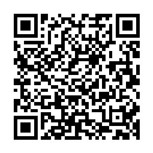 各大势力的一级客卿就会带领各大势力的高手和年轻子弟进入二维码生成