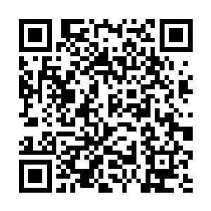 各大影评人协会等其他颁奖典礼的提名名单保持一致二维码生成