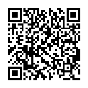 各大战队的音乐总监和台上歌手看来也深知这一点二维码生成