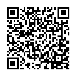 各大鼓舞世家前些日子组成了隐士会不就是区对付苏凡的二维码生成