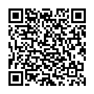 各州的州军基本上都装备了本州内生产的各种型号的飞机二维码生成