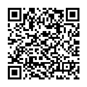 各师所属的野战医院人员和设备也都乘坐小型运输机二维码生成