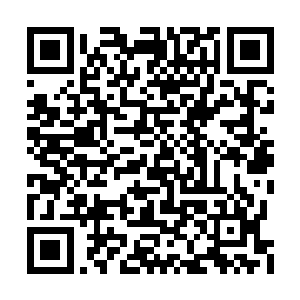 各强国对圣教文明的贪婪也让他们失去了判断力二维码生成