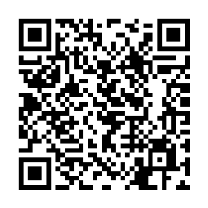 各方势力此时已经选拔出来的参加结盟大会的修士二维码生成