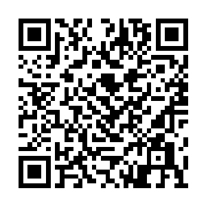 各方势力的弟子几乎都参与了布设仙阵的任务中二维码生成