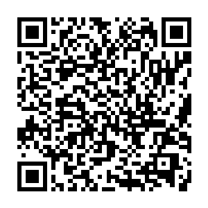 各有一位七变神王率领着诸多朱雀一族的族人前来保护正在献血的嫡系神王二维码生成