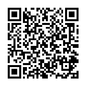 各省级电视台其实也都有着一定程度自己制片的能力二维码生成