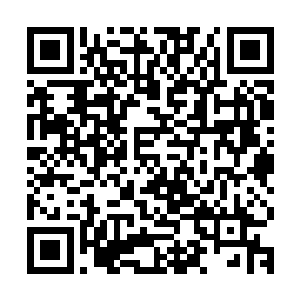 各种催更的手段也是让拖延症晚期的不冷有了一丝被抢救的机会二维码生成