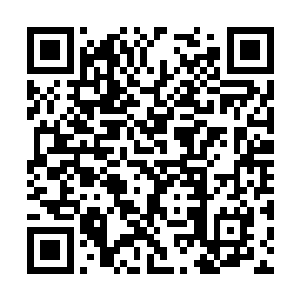 各种匪夷所思却强大无比的秘术从他手上绽放出来二维码生成
