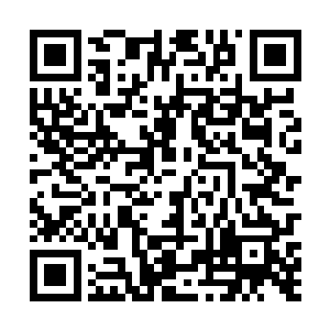 各种千奇百怪的测试让他都觉得自己就像马戏团的动物二维码生成