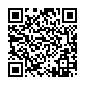 各种各样奇形怪状的动物正在悠闲的吃草二维码生成