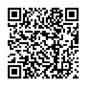 各种各样的前期筹备工作最后都要汇总到杜克和罗宾二维码生成