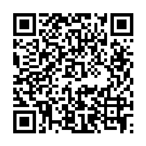 各种各样的强大的天才可以说是如同过江之鲫一般二维码生成